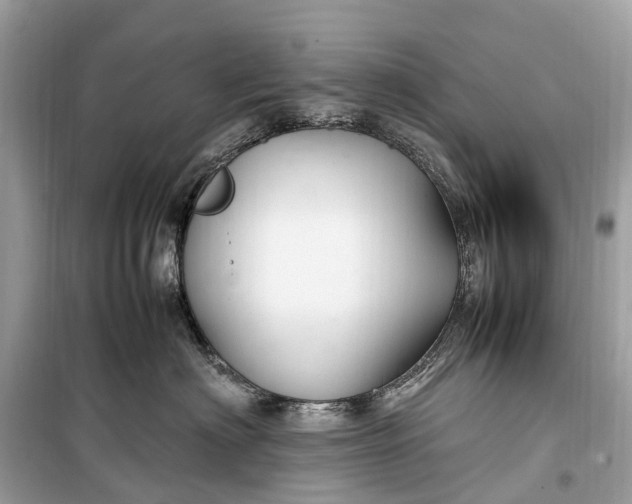 X0000099310622200805161414