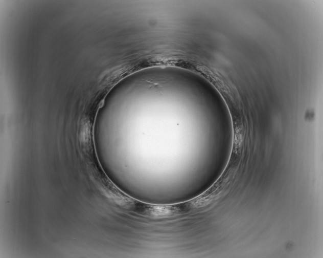 X0000099310623200805161414