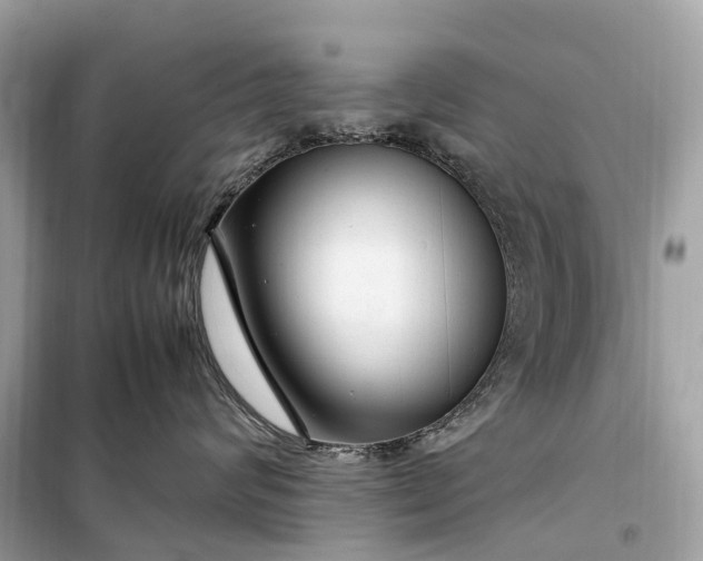 X0000099310624200805161414