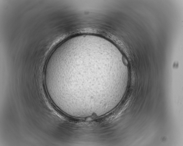 X0000099310625200805161413