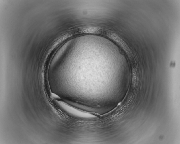 X0000099310626200805161413