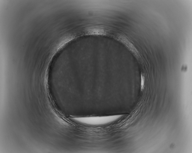 X0000099310627200805161413