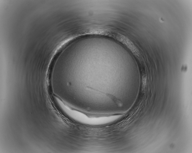 X0000099310628200805161413