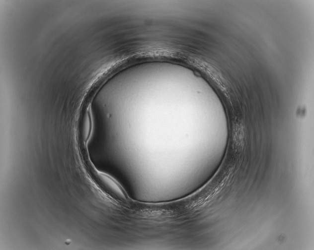 X0000099310629200805161413