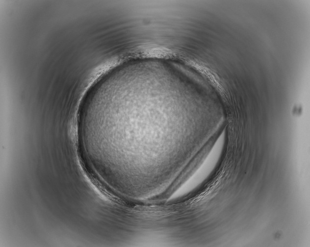 X0000099310630200805161413