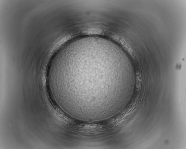 X0000099310631200805161413