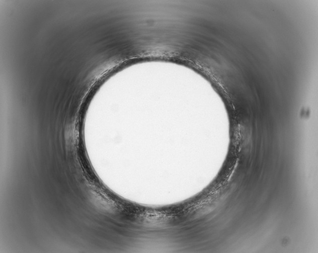 X0000099310632200805161414