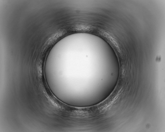 X0000099310633200805161414