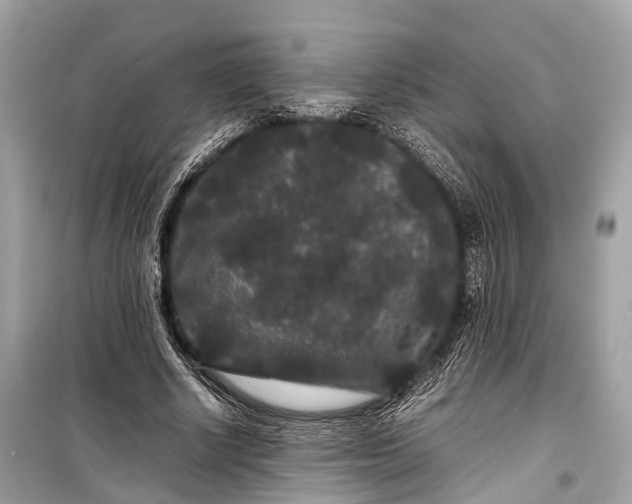 X0000099310634200805161414