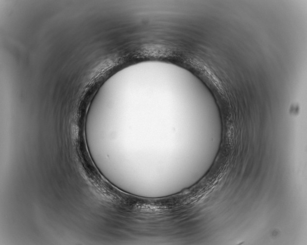 X0000099310635200805161414