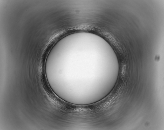 X0000099310636200805161414