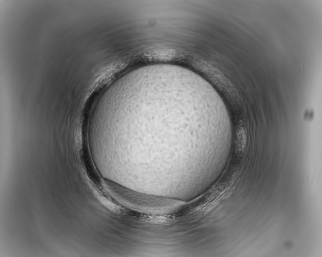 X0000099310638200805161414