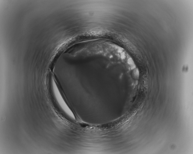 X0000099310640200805161414