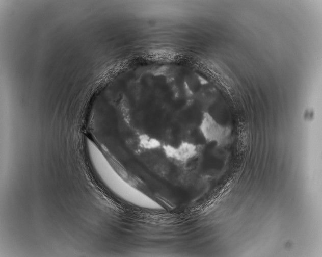 X0000099310641200805161414