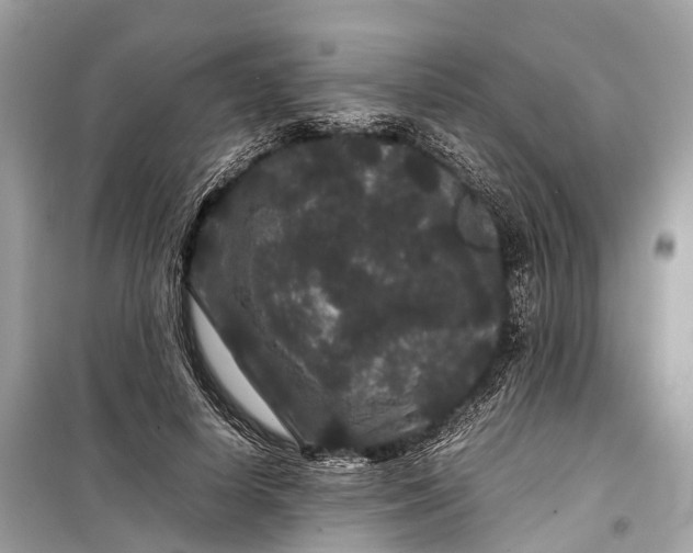 X0000099310642200805161414