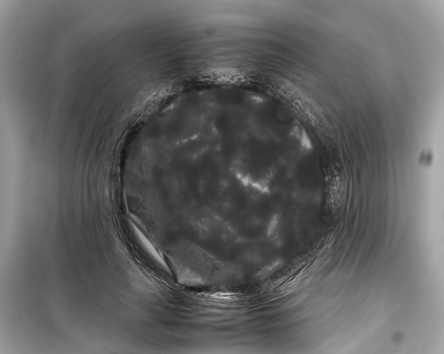 X0000099310643200805161414