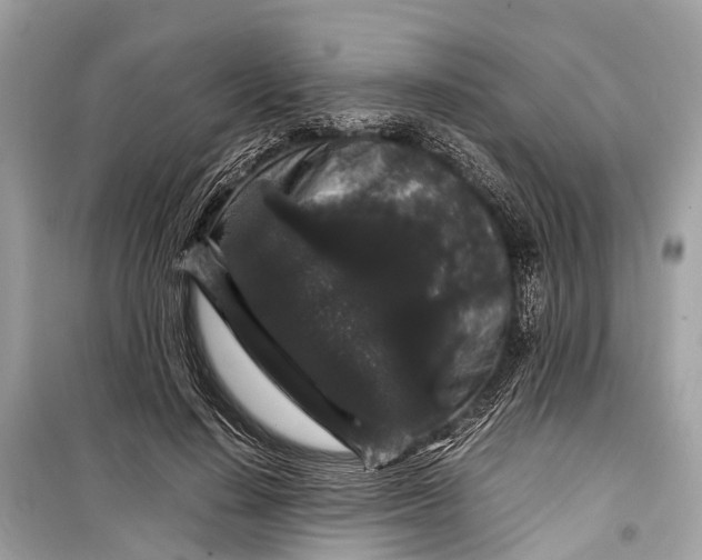 X0000099310644200805161414