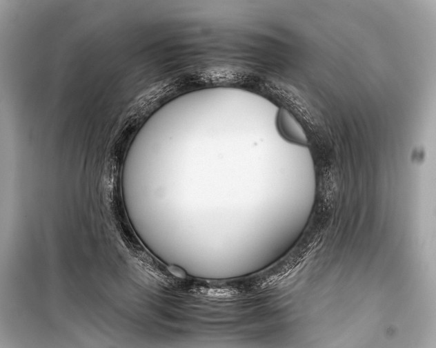 X0000099310645200805161414