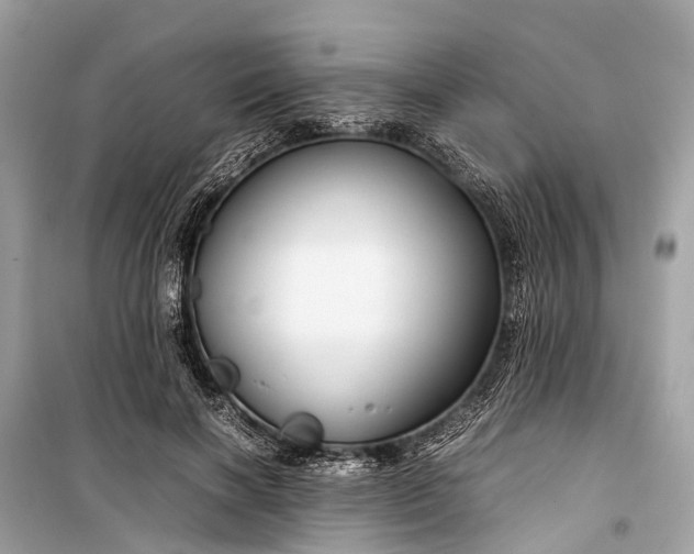 X0000099310646200805161414