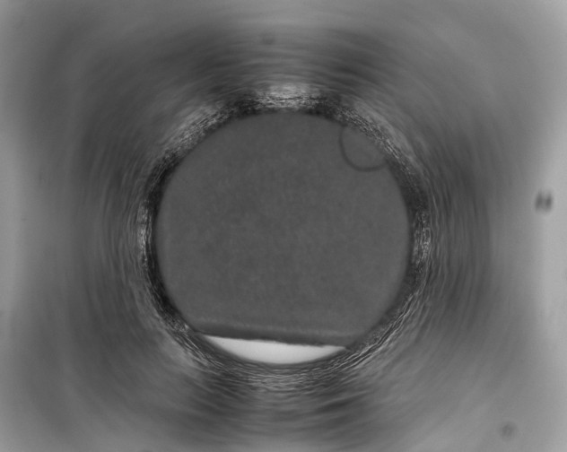 X0000099310647200805161414