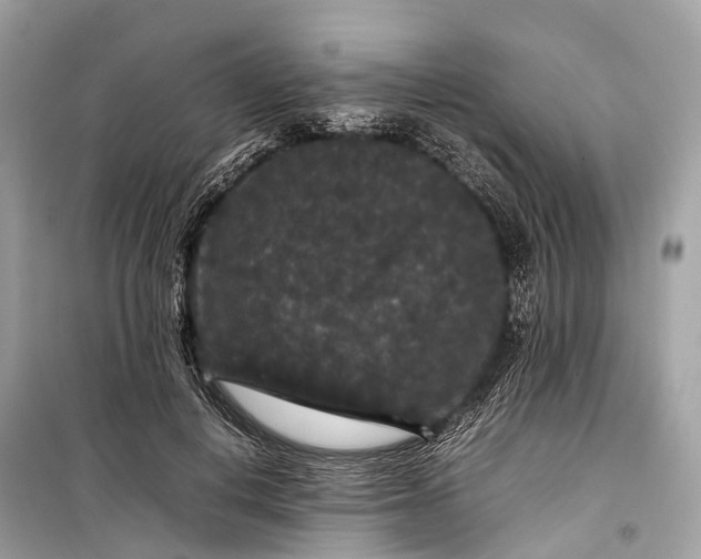 X0000099310648200805161414