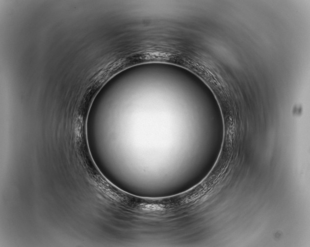 X0000099310649200805161414