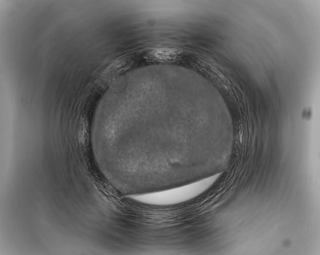 X0000099310651200805161414