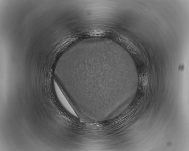 X0000099310652200805161414