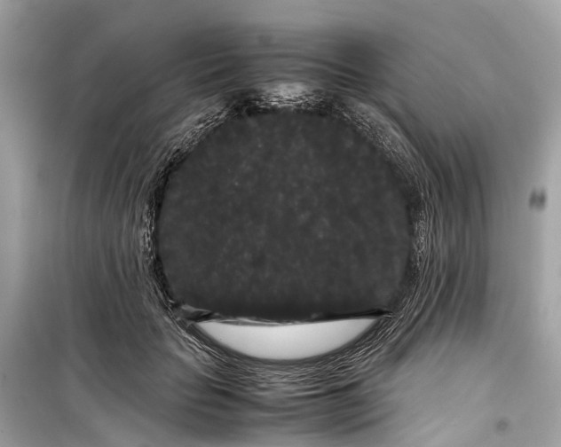 X0000099310653200805161414