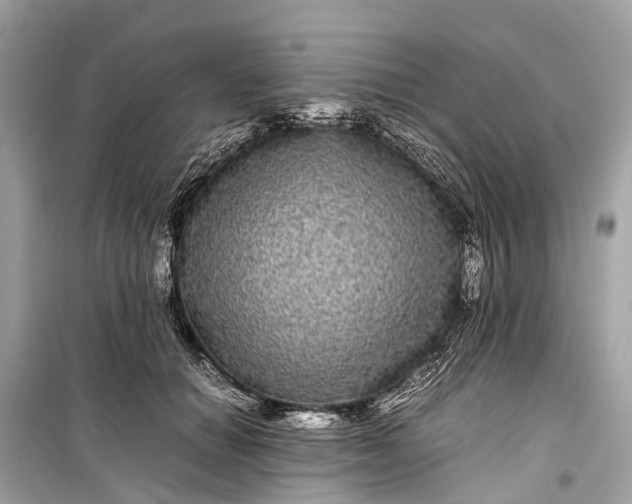 X0000099310654200805161414