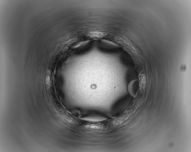 X0000099310655200805161414