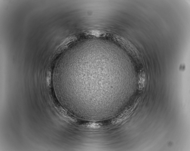 X0000099310656200805161414