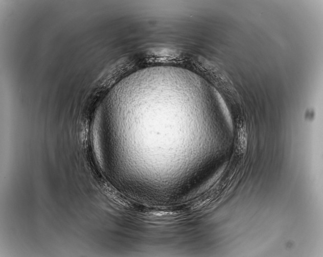 X0000099310657200805161414