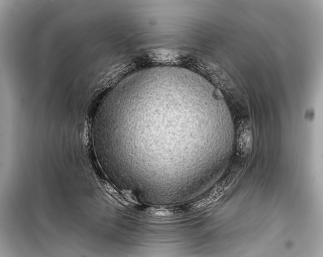 X0000099310658200805161414