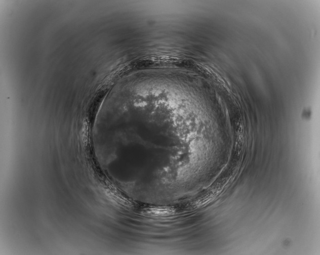 X0000099310659200805161414