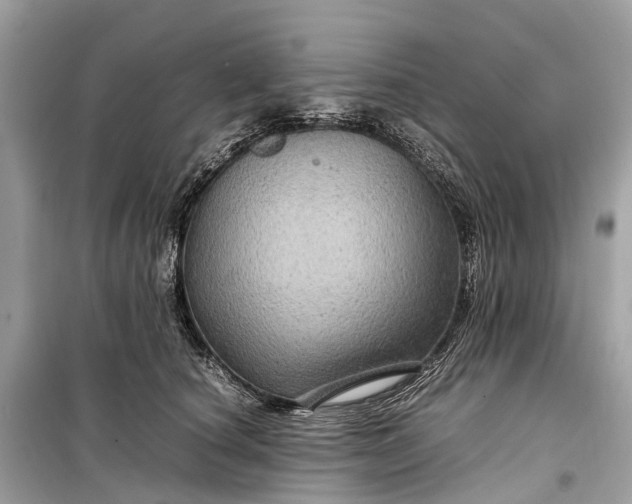 X0000099310660200805161414