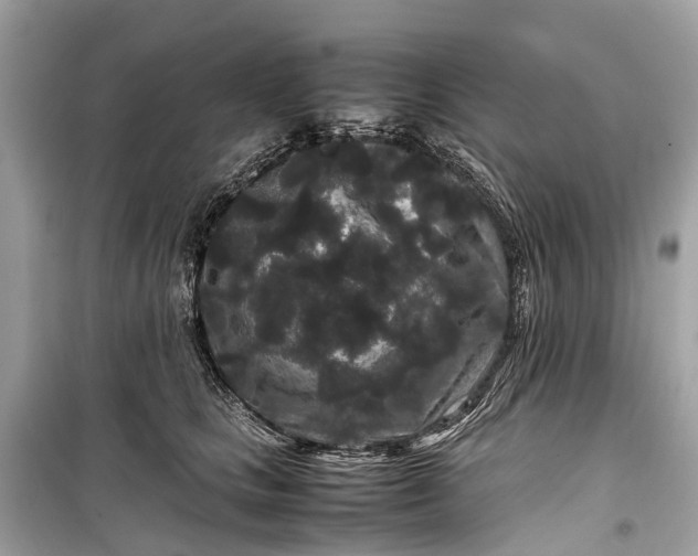 X0000099310661200805161414