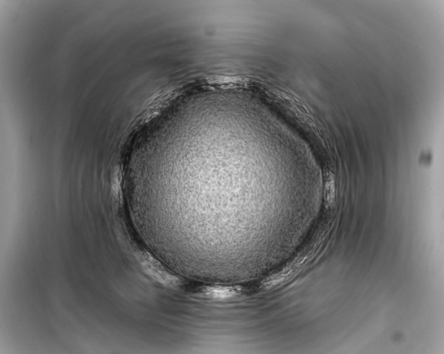 X0000099310662200805161414