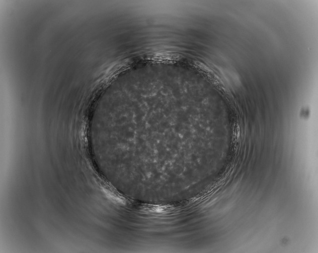 X0000099310663200805161414