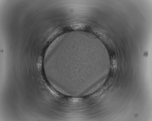 X0000099310664200805161414