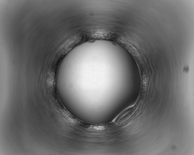 X0000099310665200805161414