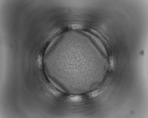 X0000099310667200805161414