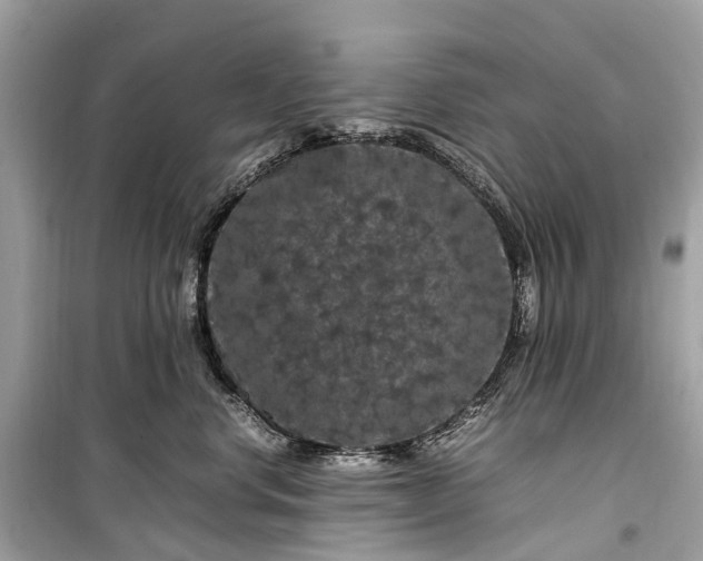 X0000099310668200805161414