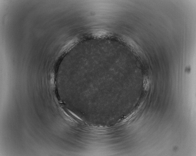 X0000099310670200805161414