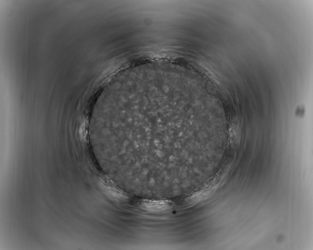 X0000099310671200805161414