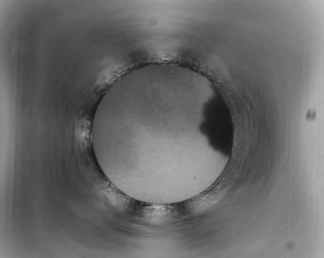 X0000099310672200805161414