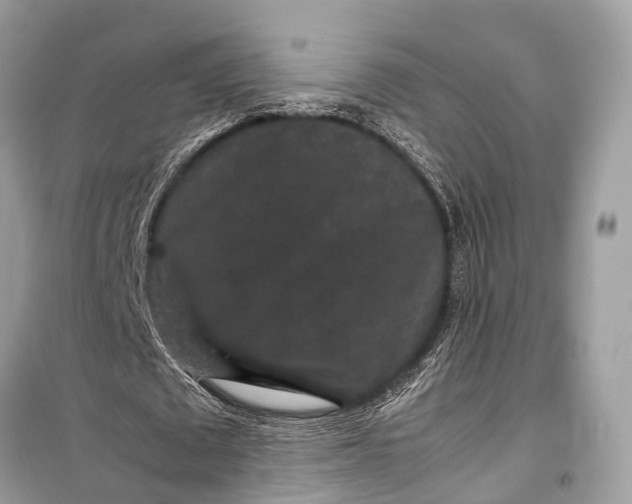 X0000099310673200805161413