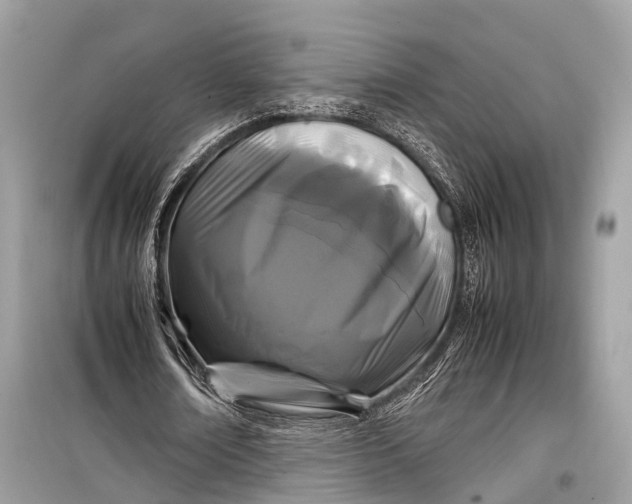 X0000099310674200805161413