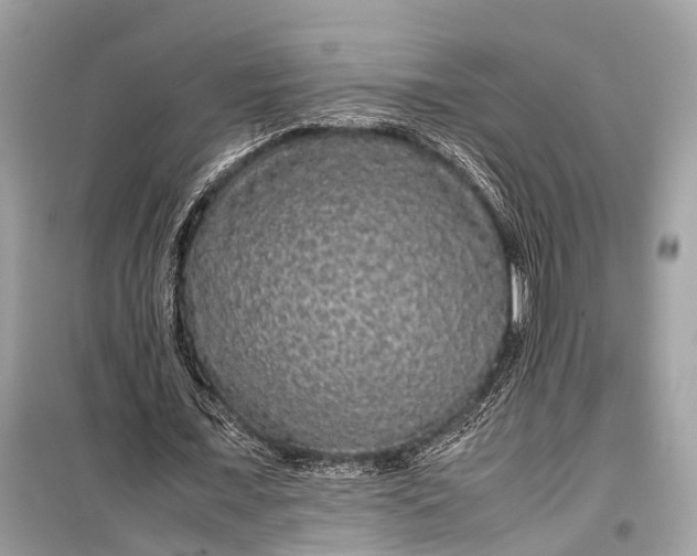 X0000099310675200805161413