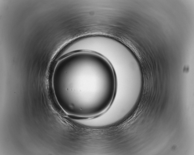 X0000099310676200805161413